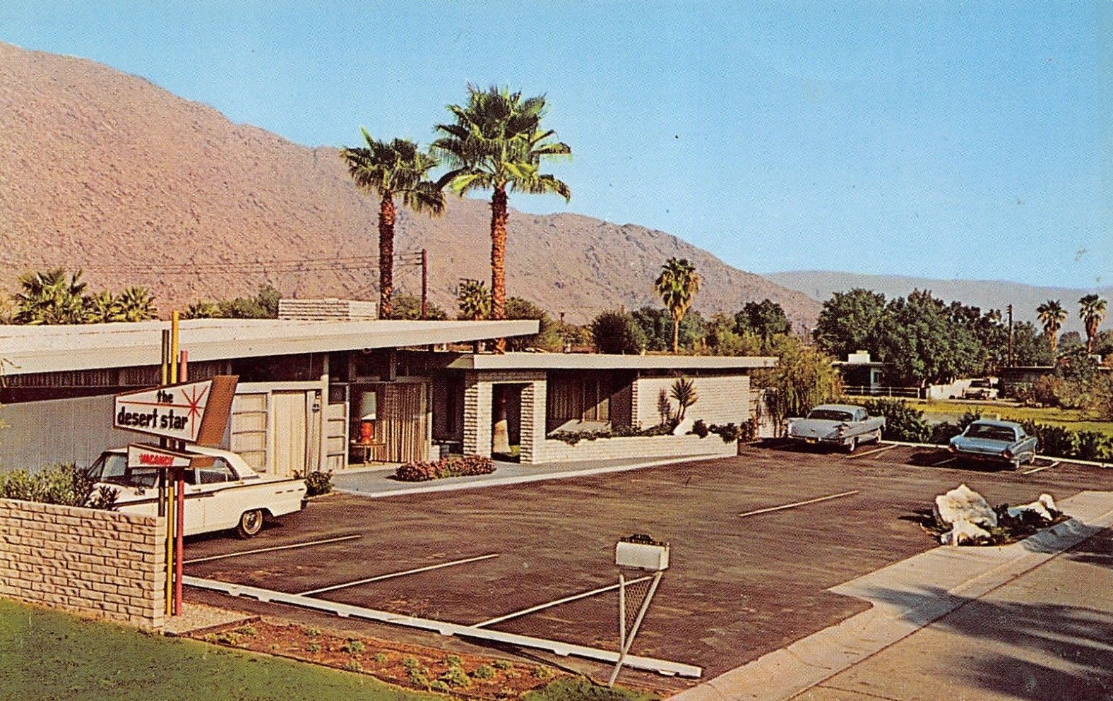 Desert Star1 Vintage Postcard